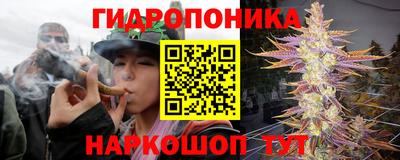 прущая мука Кимры