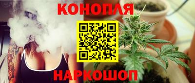 меф Кингисепп