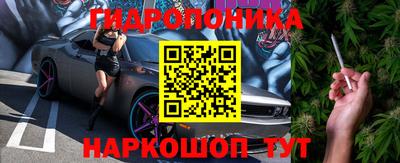 меф Кингисепп