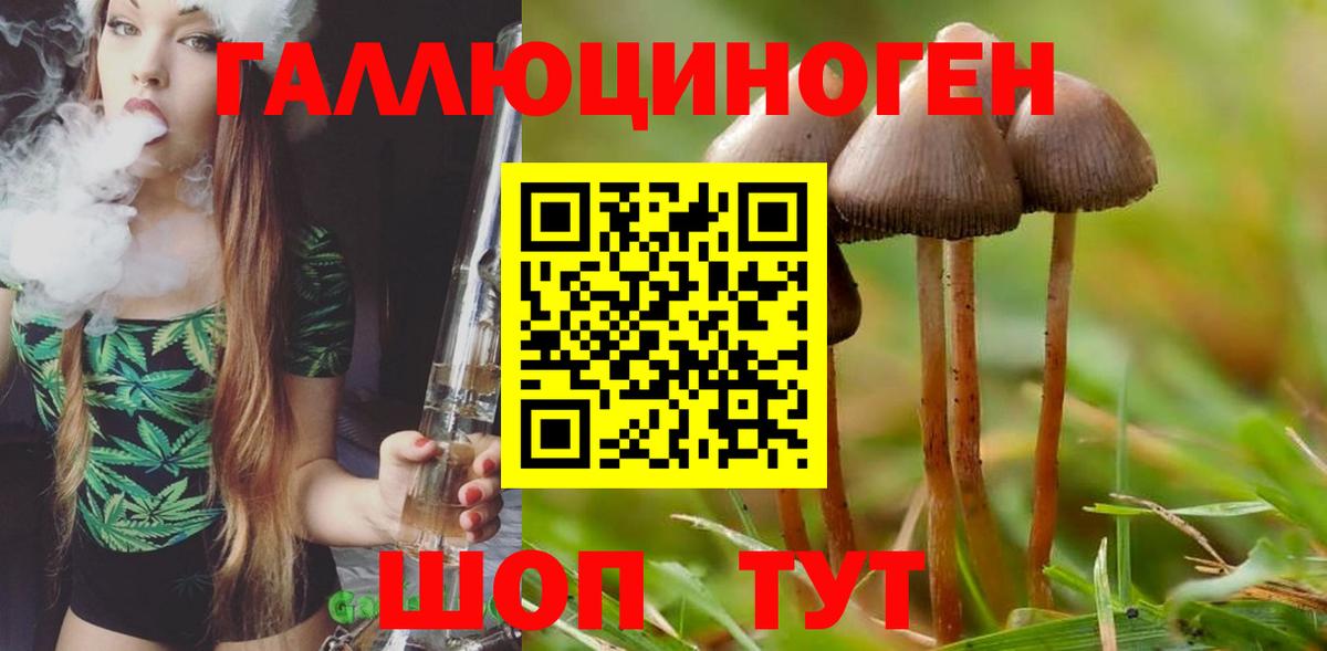 Галлюциногенные грибы Magic Shrooms Лениногорск