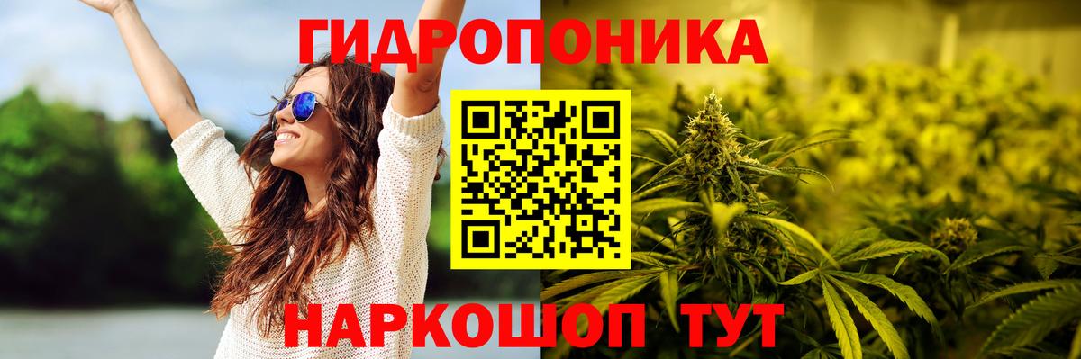Конопля VHQ Лениногорск